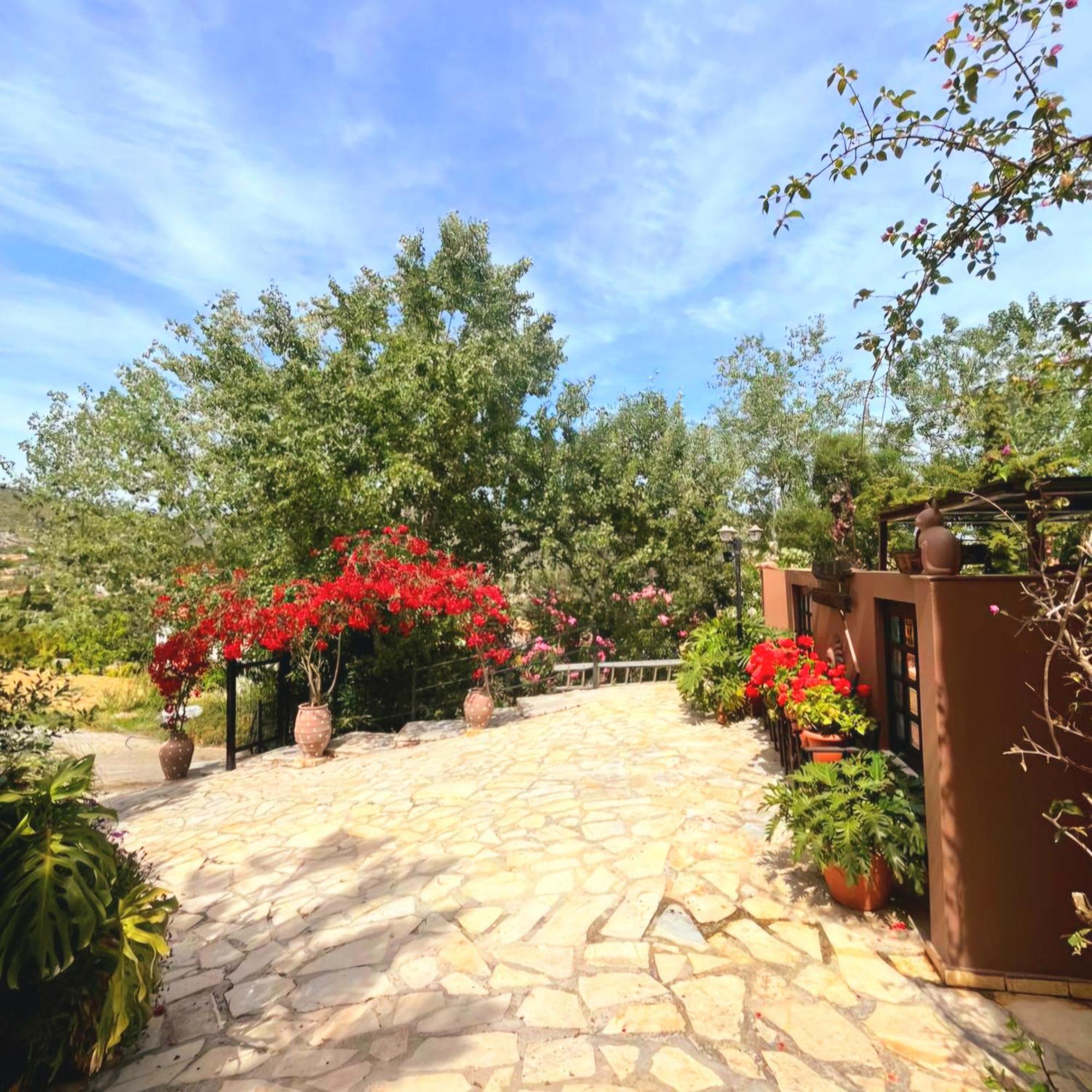 Okeanis Apartments & Suites Adults Only كاتيليوس المظهر الخارجي الصورة